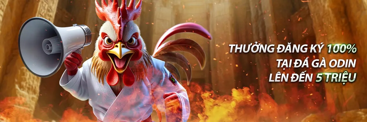 Banner chào mừng MB66 chính thức 2026